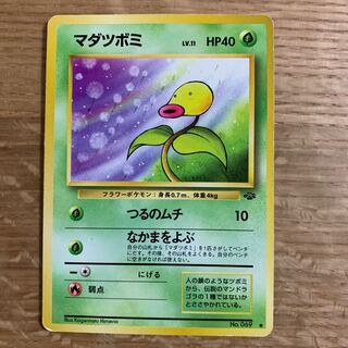 マダツボミ 旧裏の通販 ゆー（2077438150） | magi