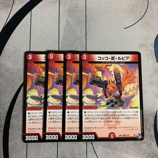 Cocco Bu Lupia R 19/74