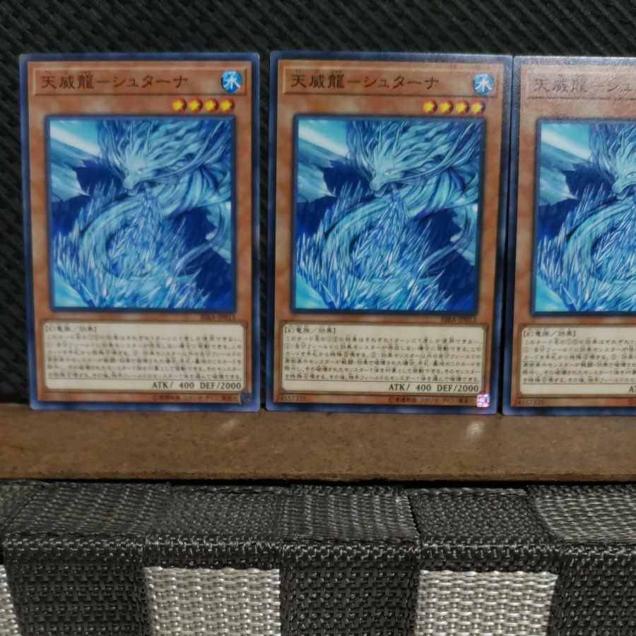 【ぽぽたん】遊戯王  #2187  天威龍－シュターナ  ノーマル 3枚