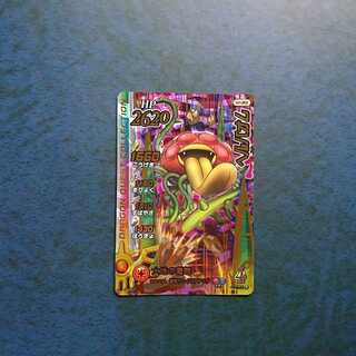 Cross Buletteed Psychic 4 GR Herbaum (2)