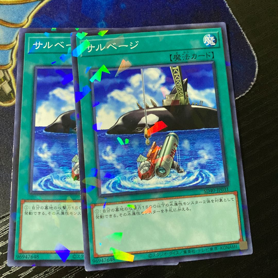 Salvage Parallel Normal JP031