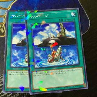 Salvage Parallel Normal JP031