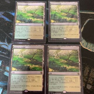 吹きさらしの荒野 4枚