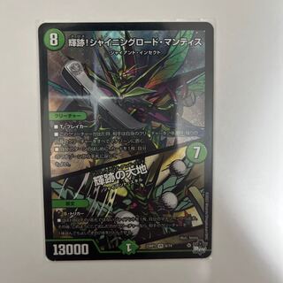 Shining Road Mantis! Shining Lord Mantis｜The Land of Bright Traces VR 6/74