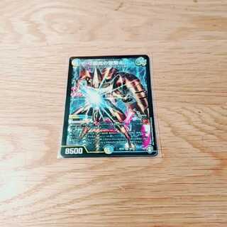 雷光の聖騎士　ライトニングソードパラディン