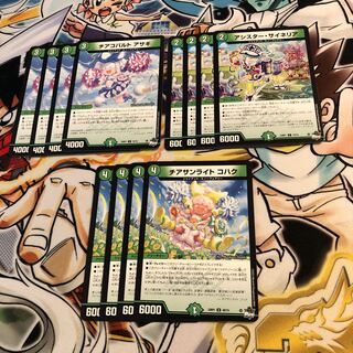 チアコバルト アサギ  チアサンライト コハク  アシスター・サイネリア