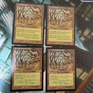 ガイアの揺籃の地 4枚