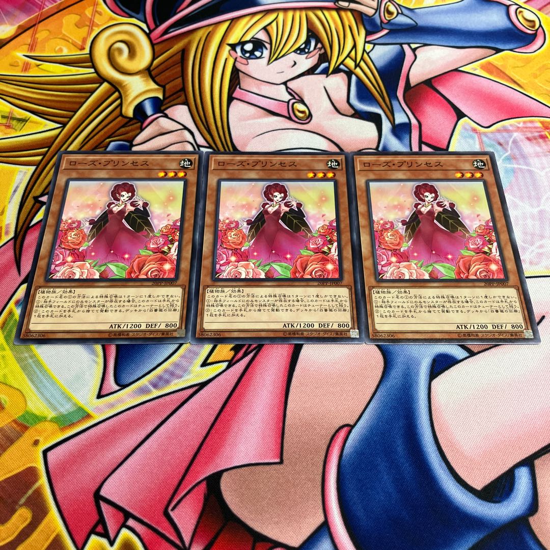 Rose Princess Normal JP007