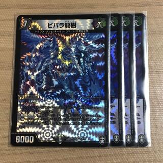 ビバラ龍樹　4枚