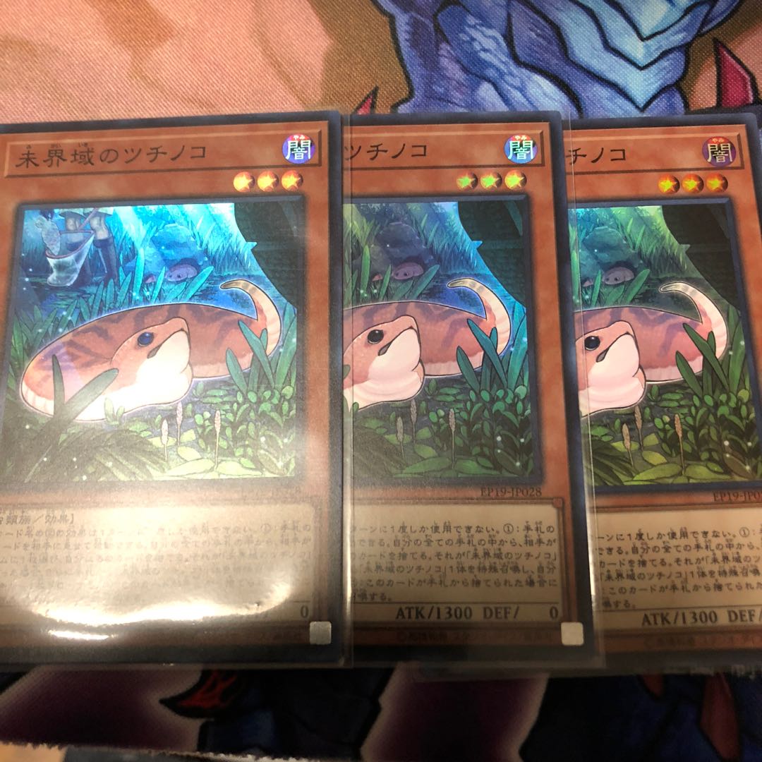 未界域のツチノコ