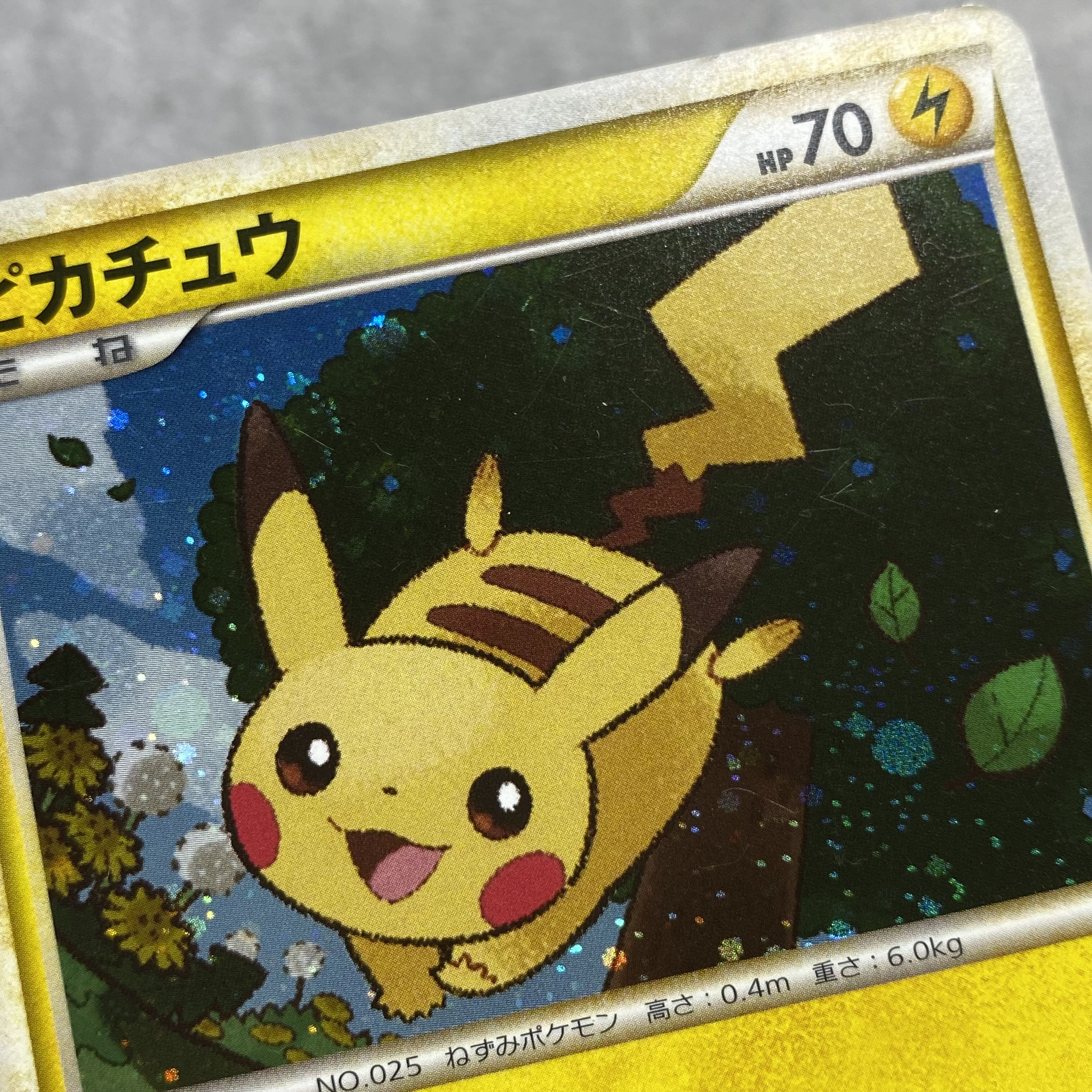 Pikachu Promo 019/L-P 1枚 (Used) （517138438）| magi -TCG