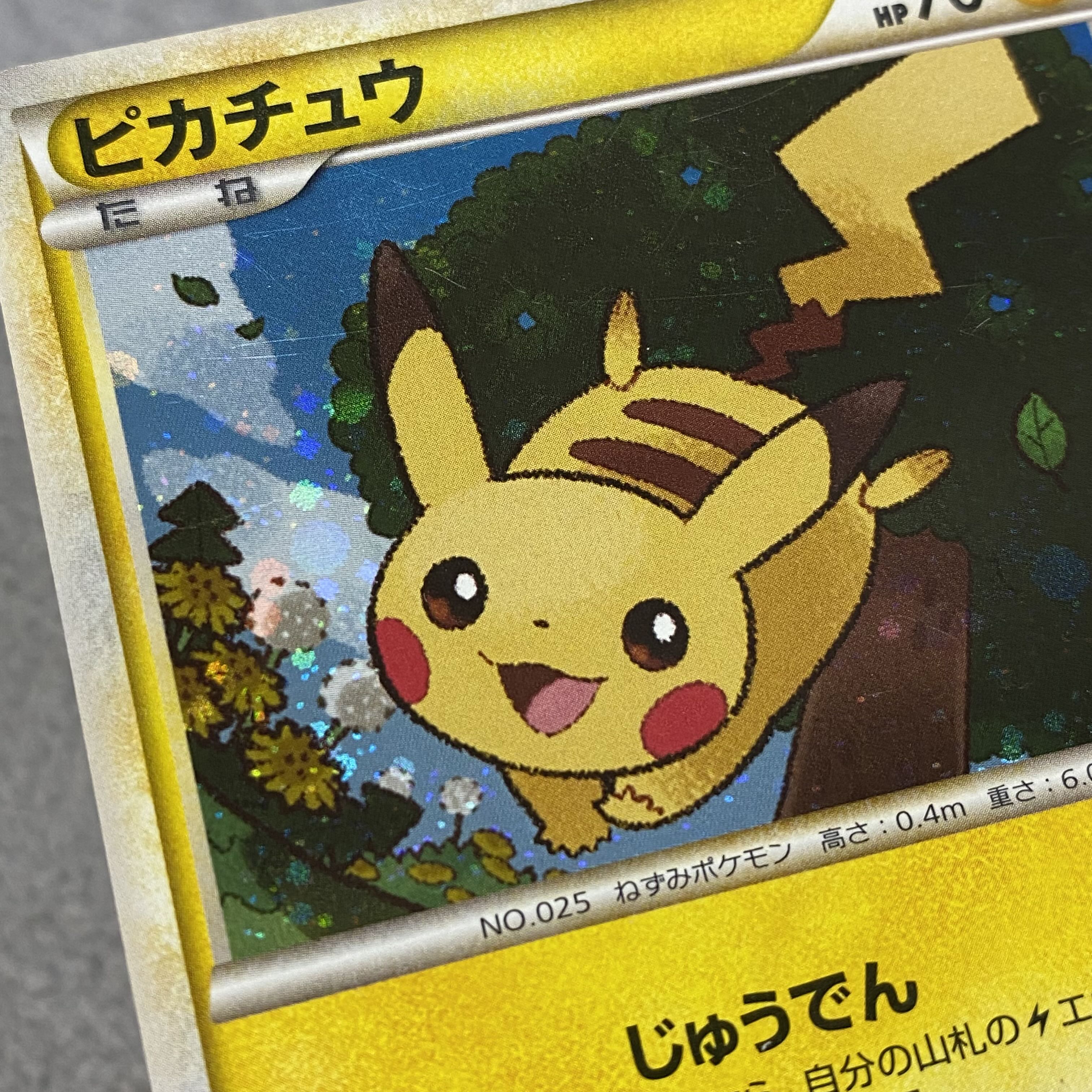 Pikachu Promo 019/L-P 1枚 (Used) （517138438）| magi -TCG