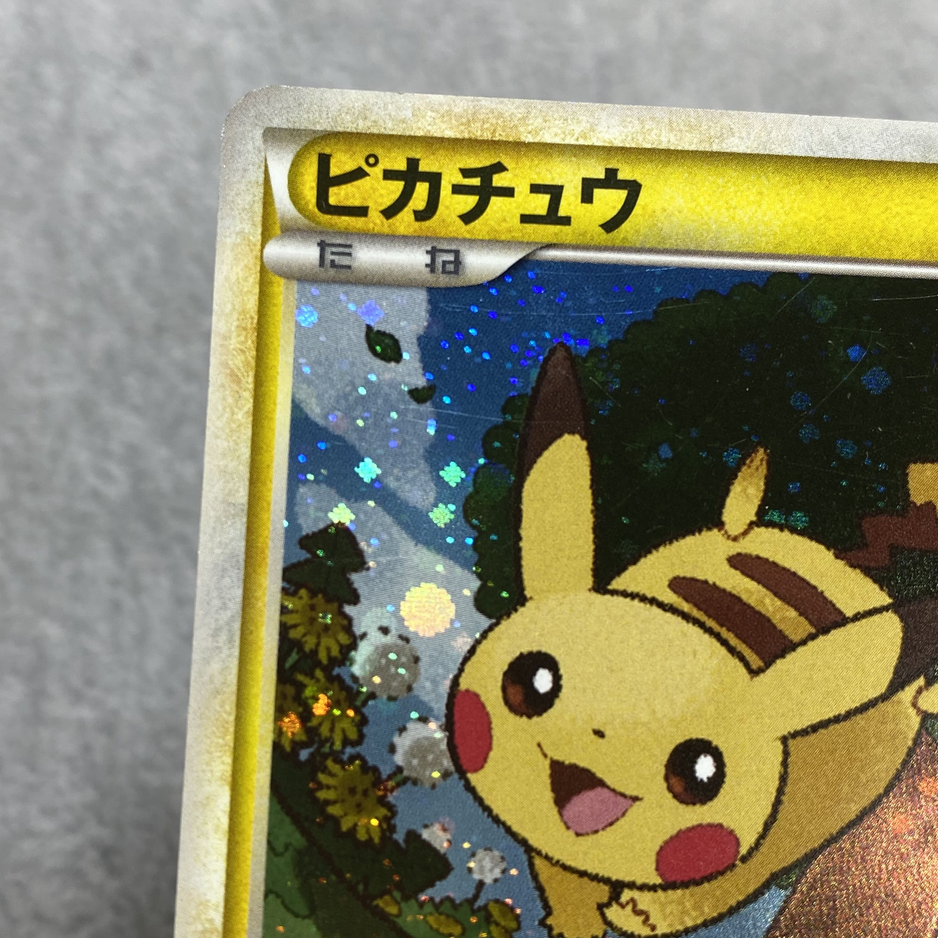Pikachu Promo 019/L-P 1枚 (Used) （517138438）| magi -TCG