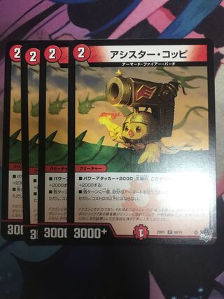 アシスター・コッピ C 68/74