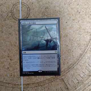 水没した地下墓地 レア 253/279