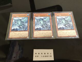 海亀壊獣ガメシエル 字レア ３枚