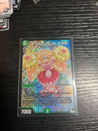 チアスカーレット アカネ  S8/S8