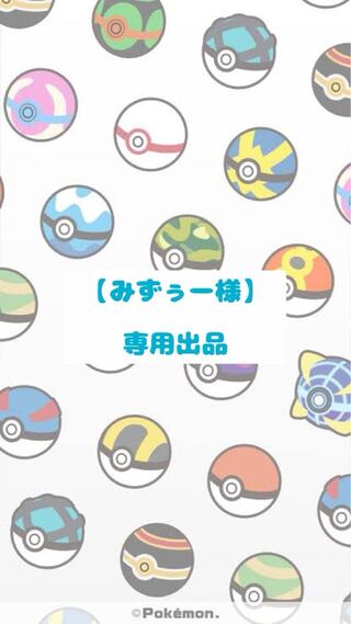 【みずぅー様】専用出品