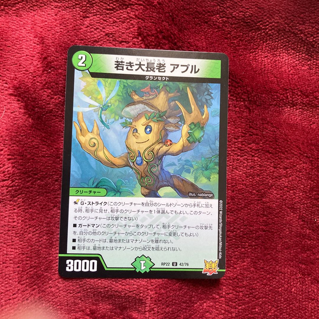 若き大長老 アプル U 42/76