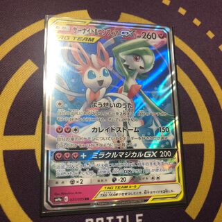 サーナイト&ニンフィア