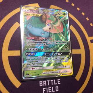 フシギバナ&ツタージャ