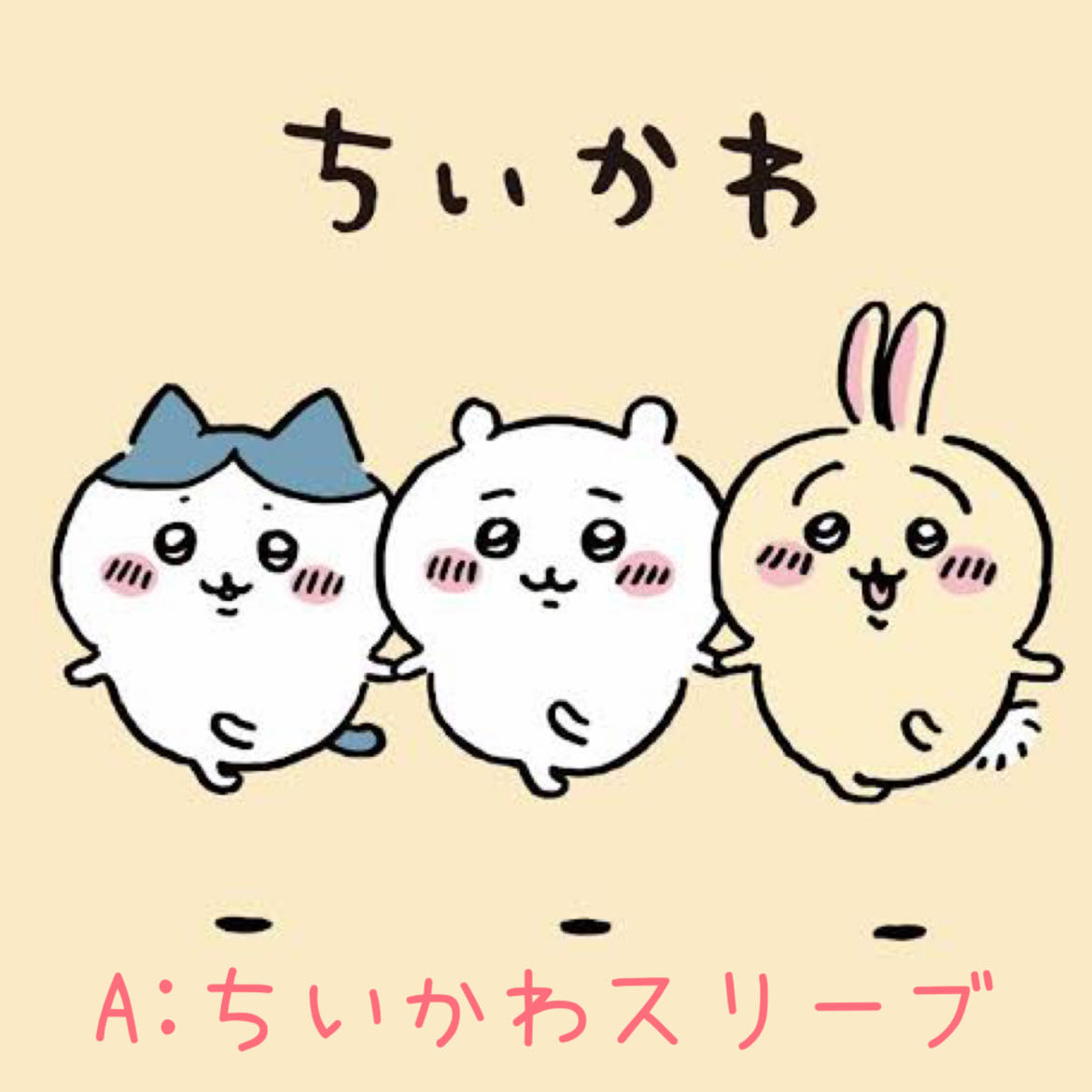 【どめ様専用】A:ちいかわスリーブ