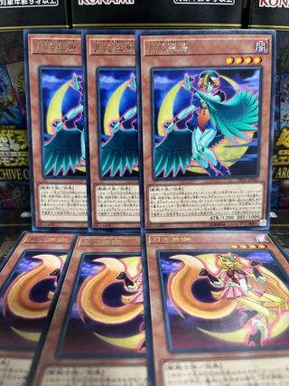 遊戯王スタジオ 3725 月光黄鼬、月光翠鳥 各3枚