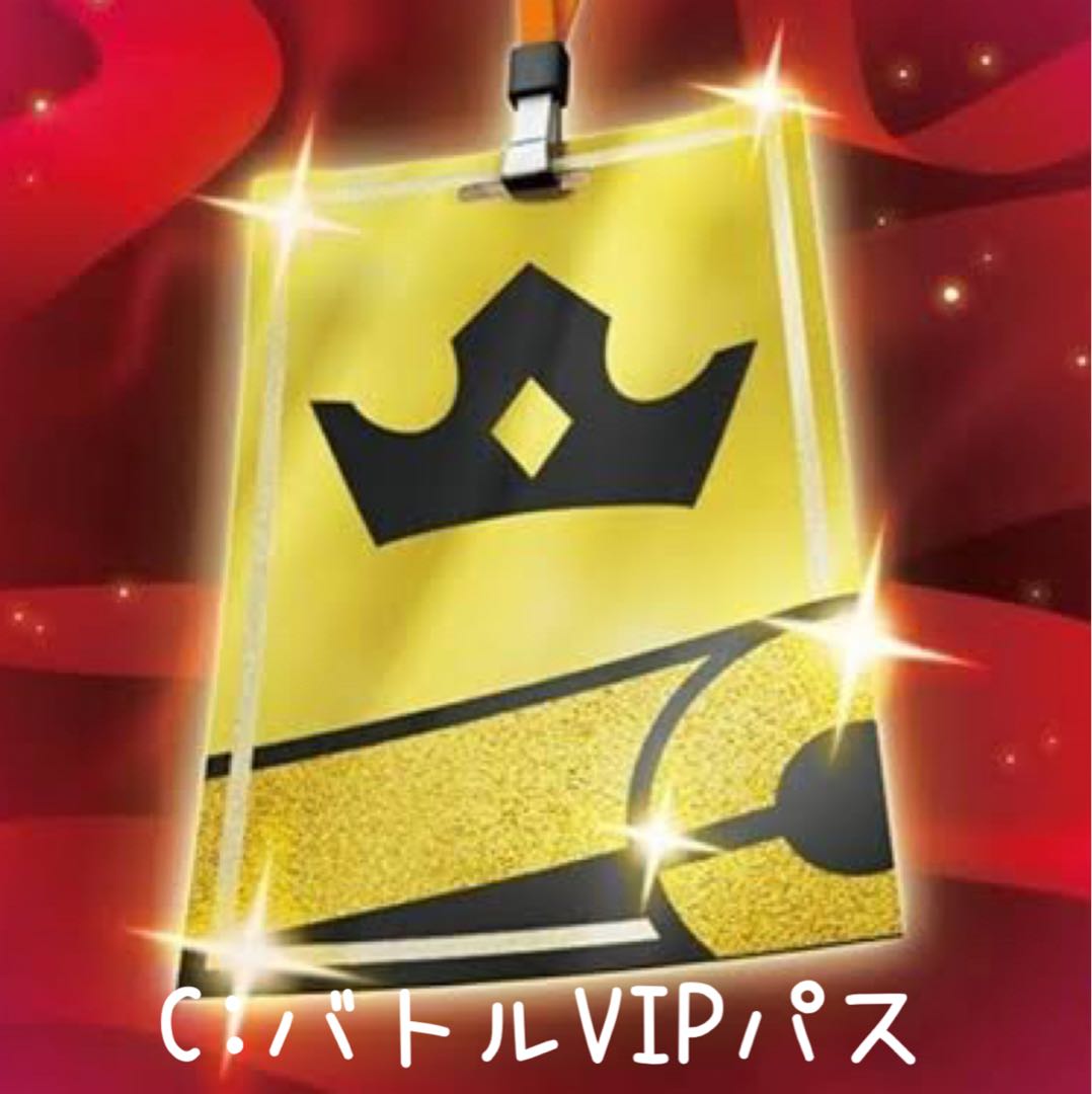 【たつ様】C:バトルVIPパス