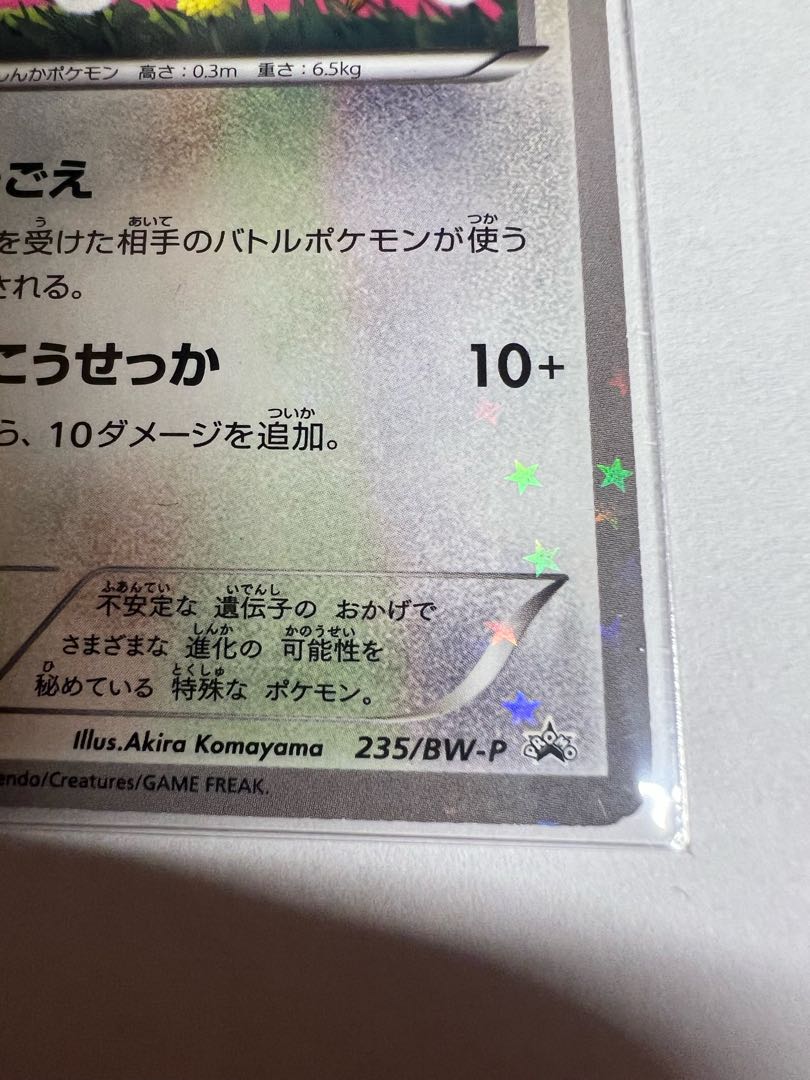 イーブイ　セブンイレブン 1枚