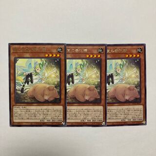 森と目覚の春化精 レア JP017