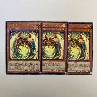 百檎龍-リンゴブルム レア JP029