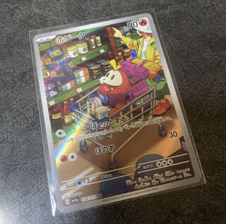 ホゲータ AR 078/073