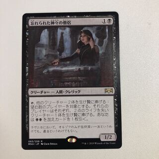 忘れられた神々の僧侶 レア 83/259