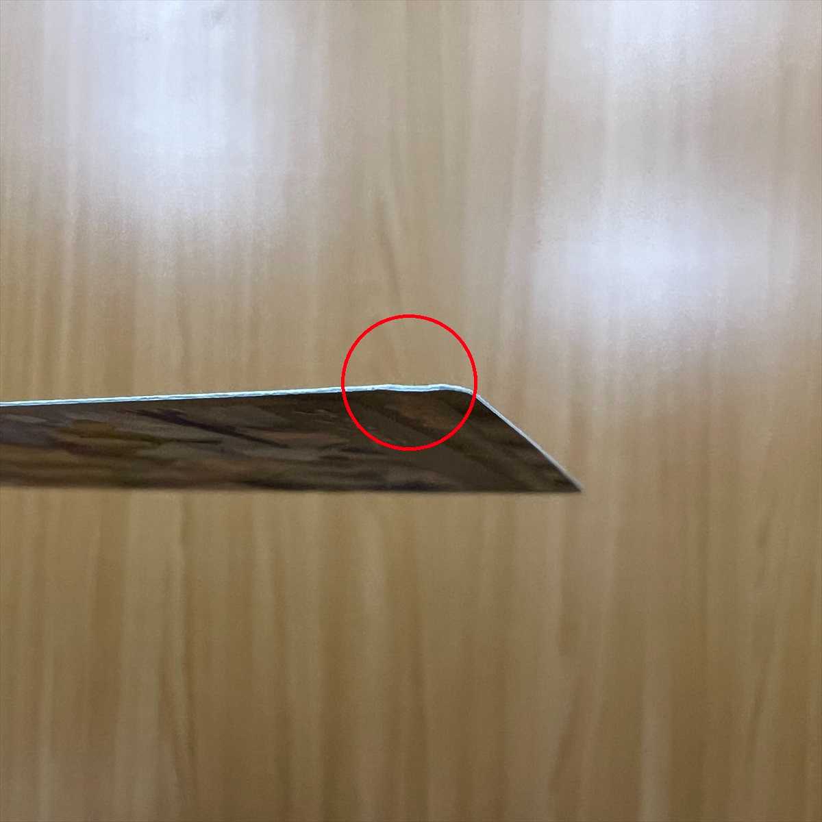 ナンジャモ SAR 096/071 SV2D ポケモンカードゲーム ポケカ①