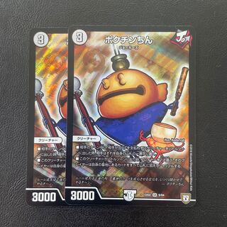 Pokuchin Chin SR 9/84