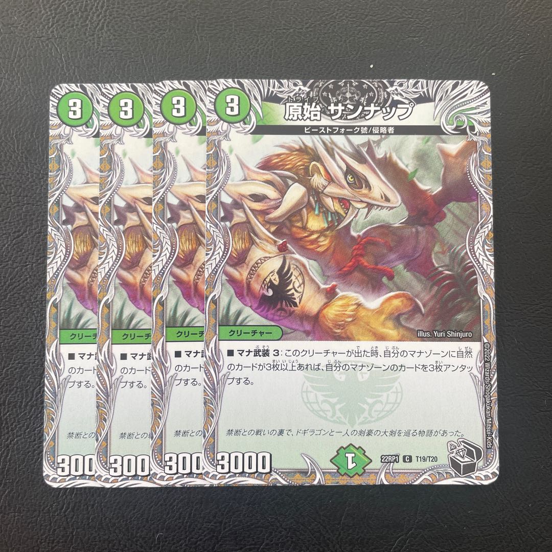 原始 サンナップ(黒トレジャー) C T19/T20