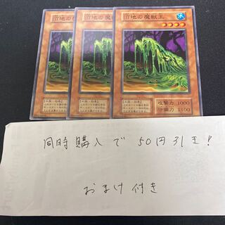 沼地の魔獣王　初期　29072