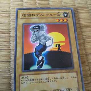 10 pieces of Fighting Rats