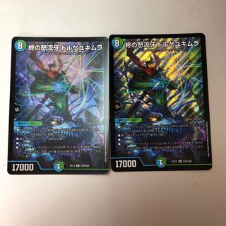 終の怒流牙 ドルゲユキムラ SR S18/S20