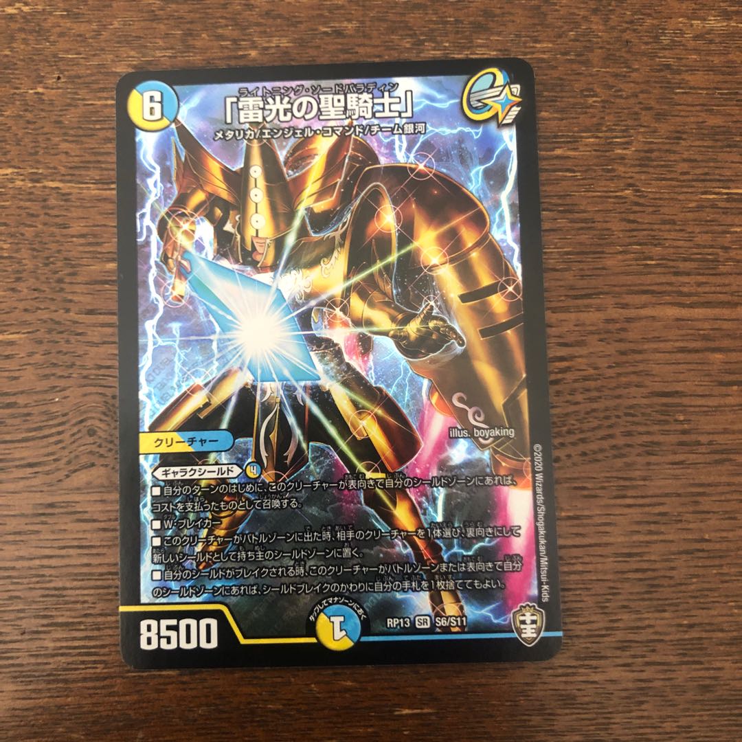 ライトニング・ソードパラディン