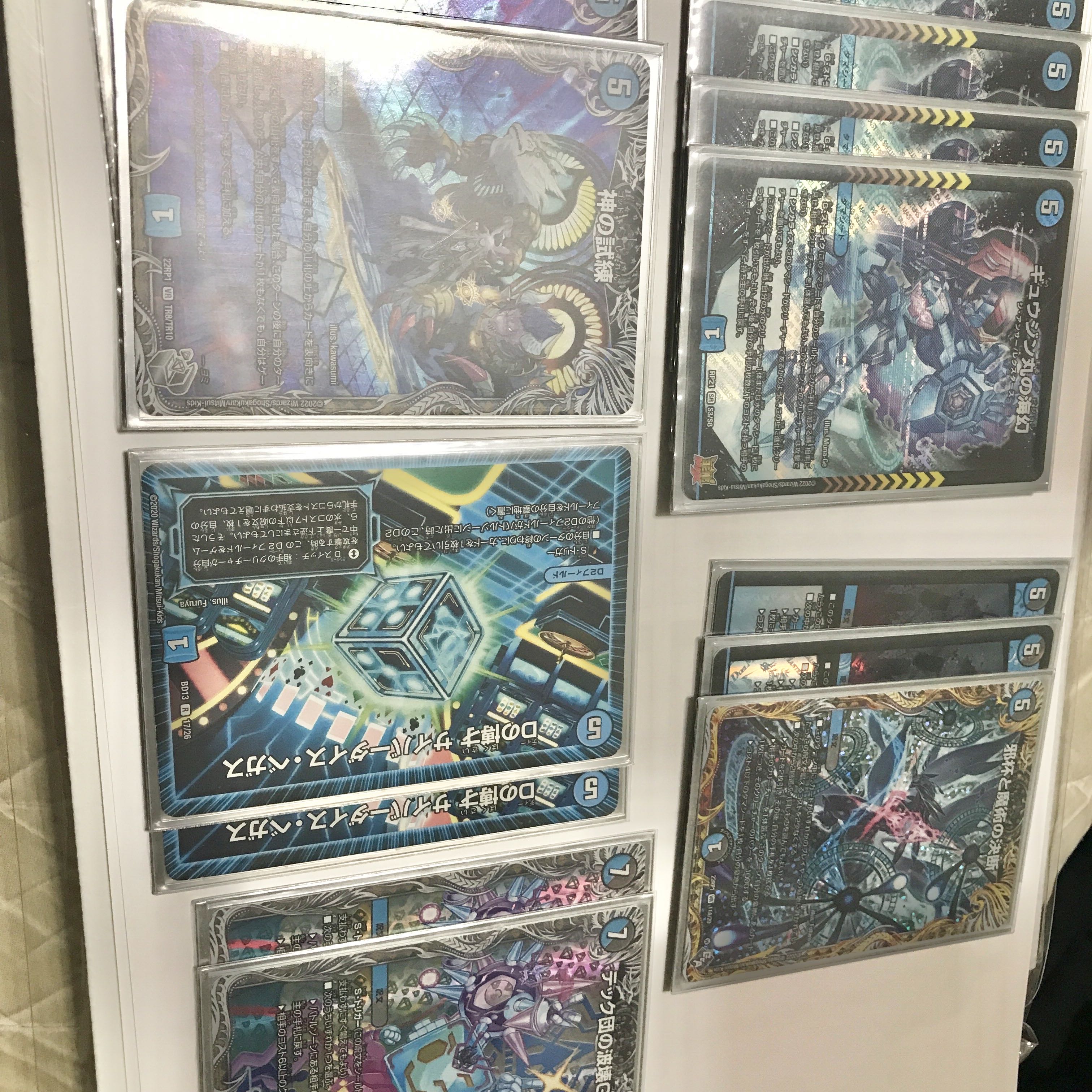 Semi-blue single tamashid, early birds, final price reduced until 5/19.