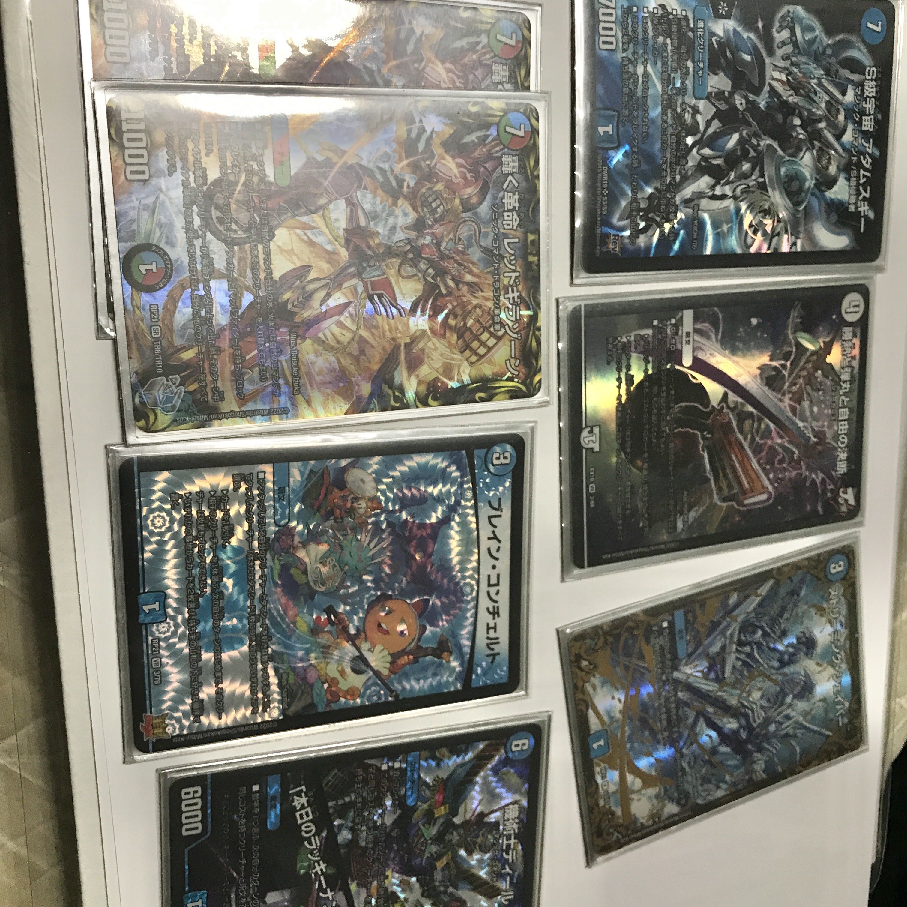 Semi-blue single tamashid, early birds, final price reduced until 5/19.