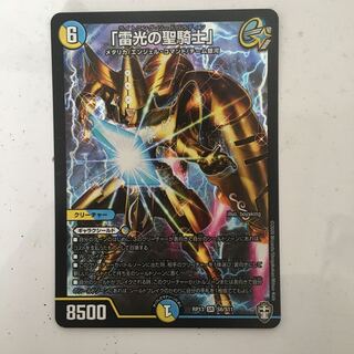 ライトニングソードパラディン　雷光の聖騎士