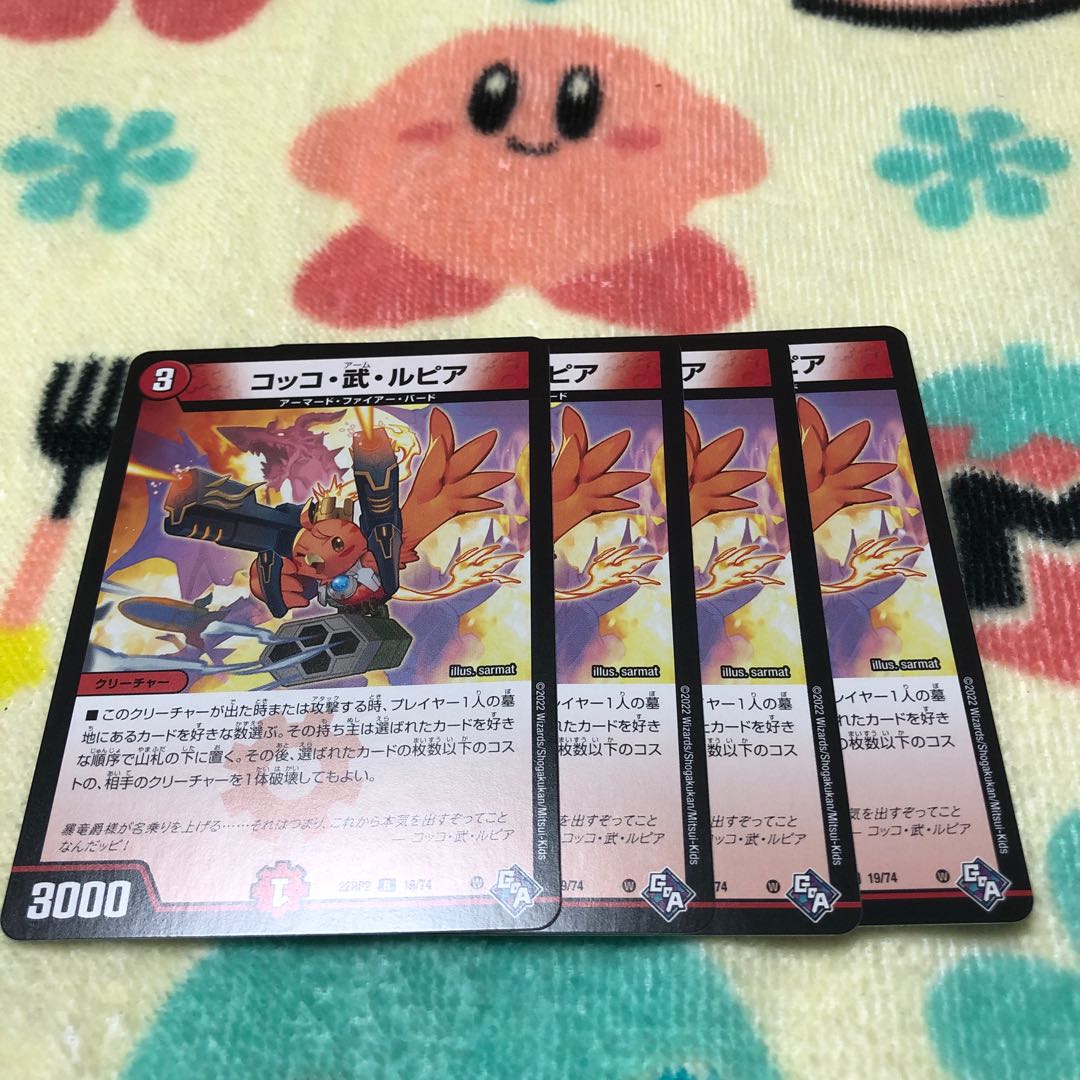 Cocco Bu Lupia R 19/74