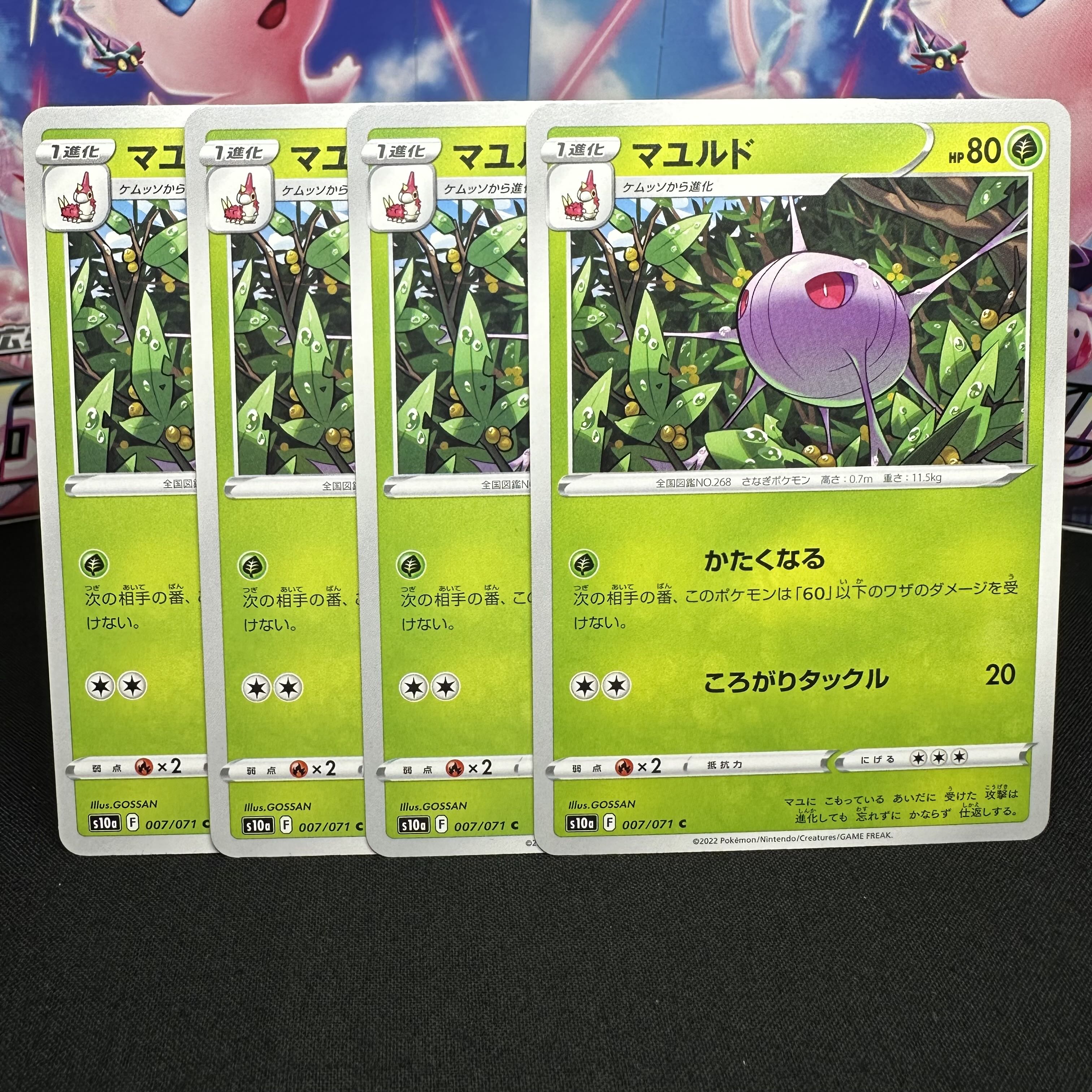 マユルド C 007/071