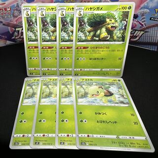 ハヤシガメ C 007/100 進化セット