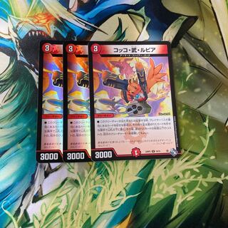 Cocco Bu Lupia R 19/74