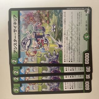 アシスター・サイネリア C 73/74