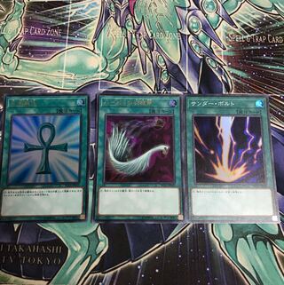 死者蘇生 ハーピィの羽根箒 サンダーボルト  セット