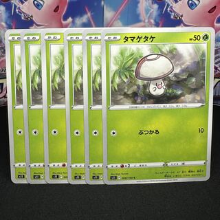 タマゲタケ C 008/100